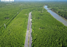 Vingroup muốn đầu tư đường sắt 4 tỷ USD đi Cần Giờ: TP.HCM đẩy nhanh kế hoạch