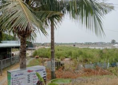 🌟 BÁN ĐẤT NUÔI TRỒNG THỦY SẢN - LONG HÒA, CẦN GIỜ SIÊU RẺ CHỈ 7TR5/M2🌟