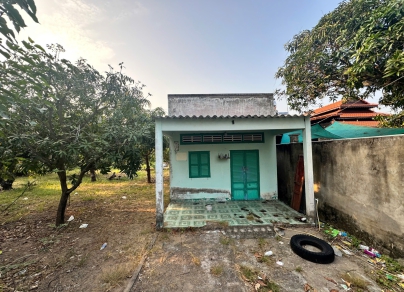 🏡 Đất vườn xoài cực đẹp – Vị trí thuận lợi tại Duyên Hải, Cần Giờ! 🏡