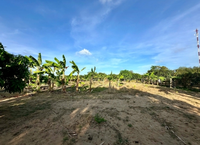 🏡 Cơ hội đầu tư đất vườn xoài quy hoạch đất ở tại Long Hoà, tiềm năng lớn! 🏡