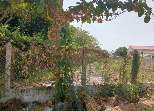 🔥 CƠ HỘI VÀNG ĐẦU TƯ - ĐẤT 1149m² DUYÊN HẢI, CẦN THẠNH CHỈ 51 TRIỆU/M² 🔥