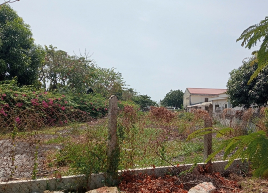 🔥 CƠ HỘI VÀNG ĐẦU TƯ - ĐẤT 1149m² DUYÊN HẢI, CẦN THẠNH CHỈ 51 TRIỆU/M² 🔥