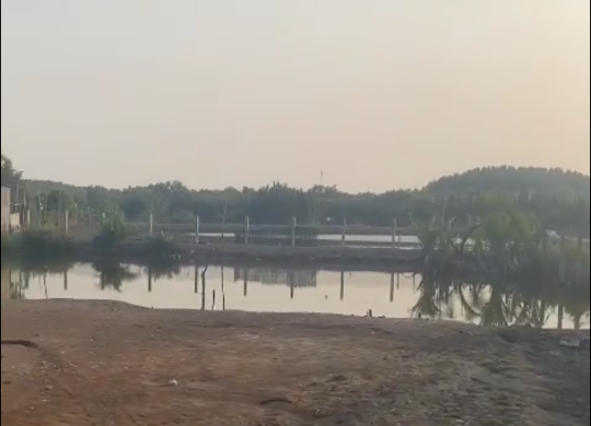 🌟 CƠ HỘI ĐẦU TƯ ĐẤT AN THỚI ĐÔNG - CẦN GIỜ | SINH LỜI CAO 🌟 (1)