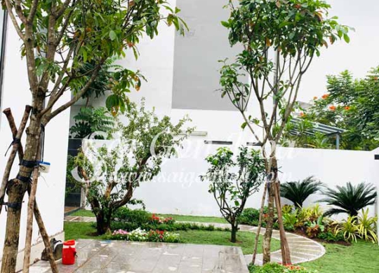 Nhà cho thuê 3 lầu 