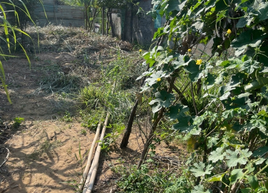 SỞ HỮU NGAY MẢNH ĐẤT ĐẸP TẠI TAM THÔN HIỆP – CHỈ 2 TỶ 1!  