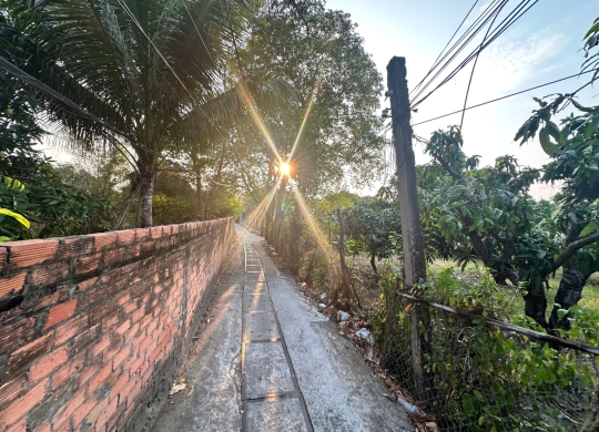 🏡 Đất vườn xoài cực đẹp – Vị trí thuận lợi tại Duyên Hải, Cần Giờ! 🏡