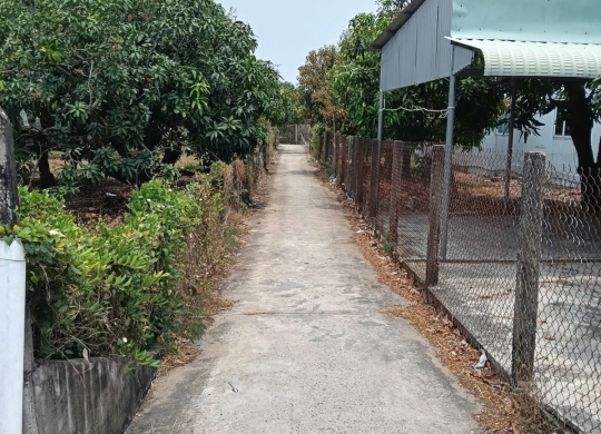 🏡 Cơ hội đầu tư đất vườn xoài quy hoạch đất ở tại Long Hoà – vị trí đẹp, tiềm năng lớn! 🏡