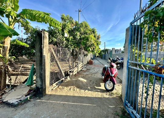 🏡 Cơ hội đầu tư đất vườn xoài quy hoạch đất ở tại Long Hoà – vị trí đẹp, tiềm năng lớn! 🏡