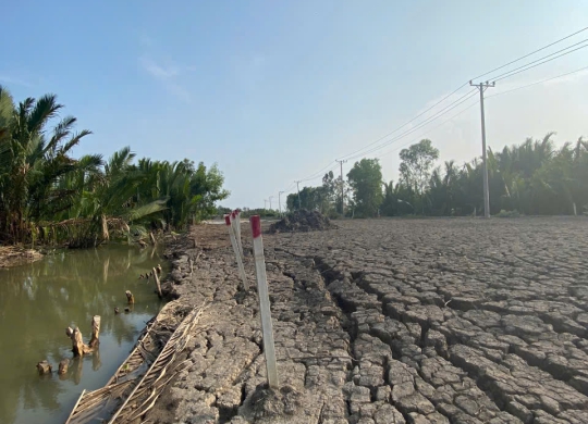 🏡 Cần bán lô đất mặt tiền Trần Hưng Đạo, xã Tam Thôn Hiệp, Cần Giờ – Cơ hội đầu tư vàng!