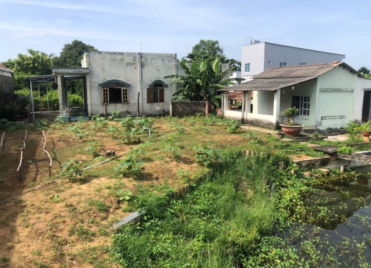 🔥 CHÍNH CHỦ GỬI BÁN ĐẤT SIÊU GẦN BIỂN CẦN THẠNH - CẦN GIỜ 🔥