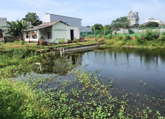 🔥 CHÍNH CHỦ GỬI BÁN ĐẤT SIÊU GẦN BIỂN CẦN THẠNH - CẦN GIỜ 🔥 (1)