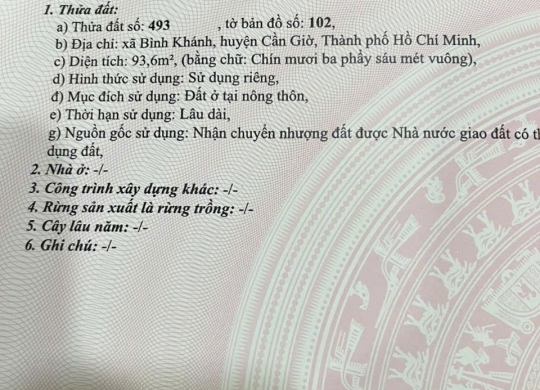 🚀 HOT NHƯ CẦU CẦN GIỜ – MẶT TIỀN RỪNG SÁC GIÁ CHỈ 9 TỶ! 🚀