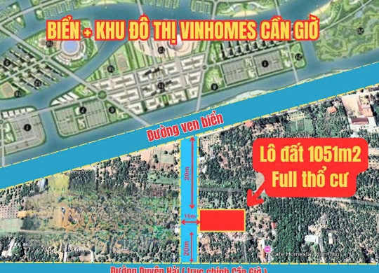 🌊 BÁN LÔ ĐẤT SIÊU TIỀM NĂNG – GẦN ĐƯỜNG VEN BIỂN, CẦN GIỜ 🌊