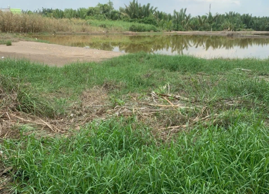 🌴🌊 SIÊU PHẨM ĐẤT NỀN BÌNH TRUNG – CẦN GIỜ 🌊🌴