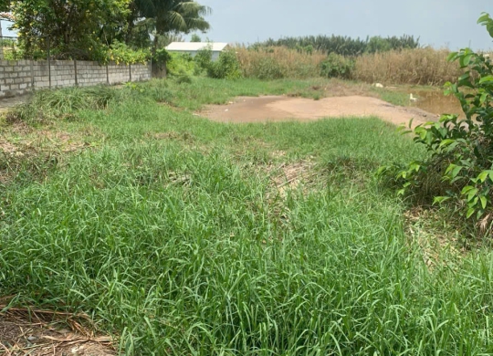 🌴🌊 SIÊU PHẨM ĐẤT NỀN BÌNH TRUNG – CẦN GIỜ 🌊🌴