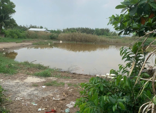 🌴🌊 SIÊU PHẨM ĐẤT NỀN BÌNH TRUNG – CẦN GIỜ 🌊🌴